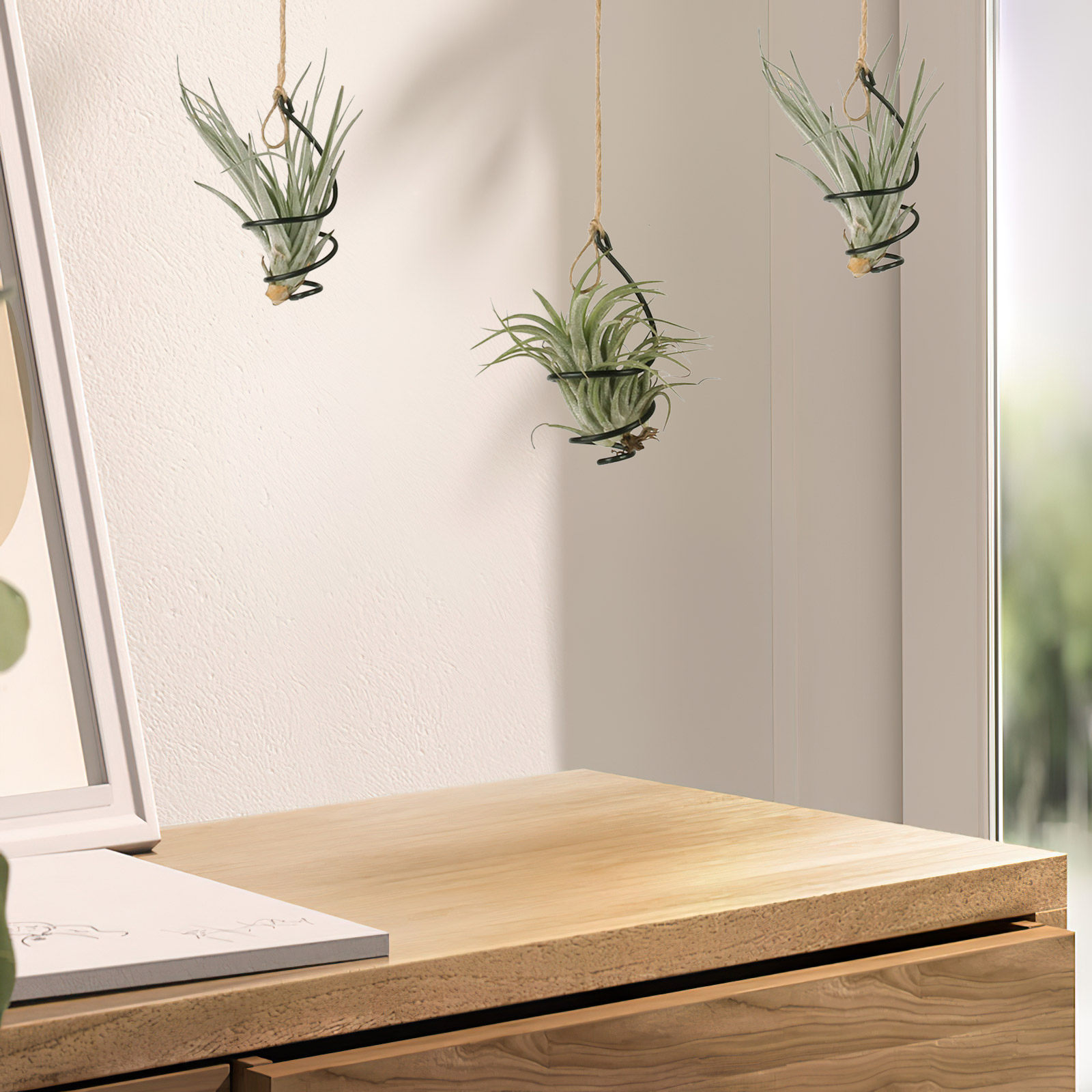 Air Plant Tillandsia - 12 sztuk wiszących uchwytów na rośliny