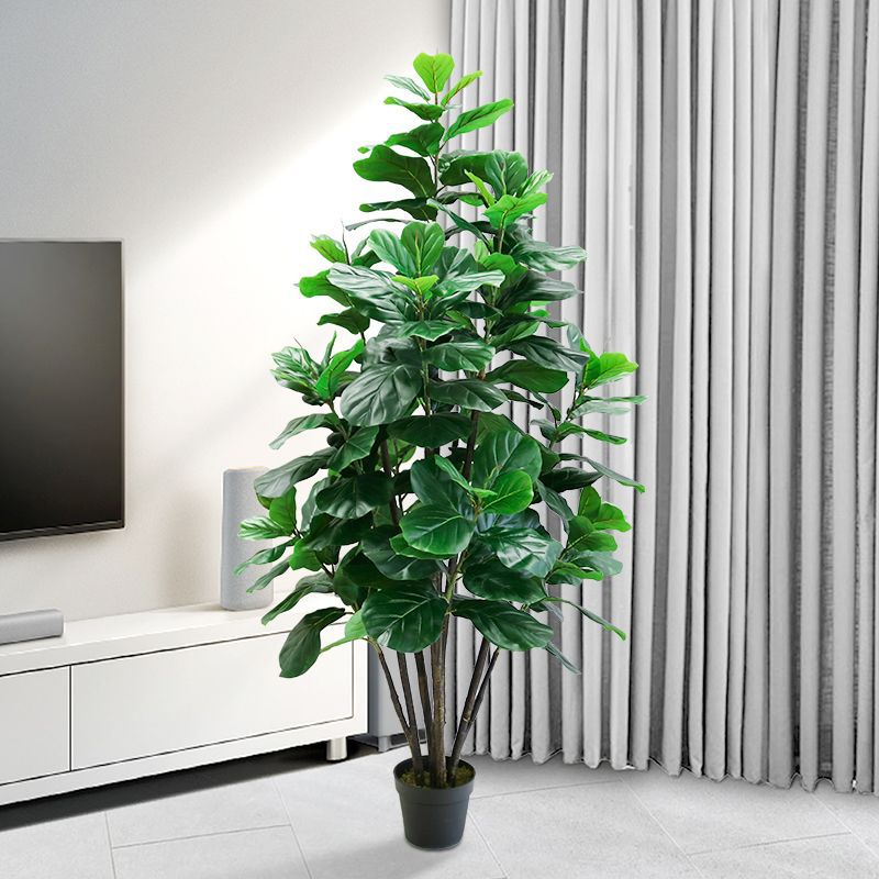 Fiddle Leaf Fig - Sztuczna Ficus Lyrata, Duża Roślina Tropikalna,
