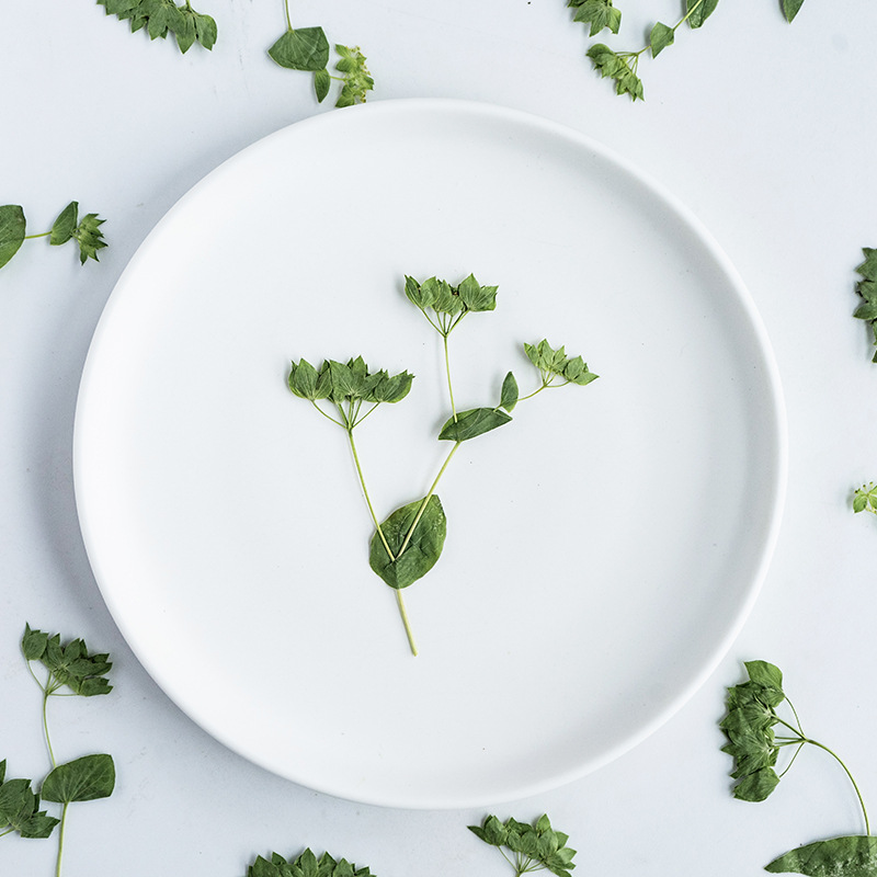 Plant Parent Sticker - 60 szt. Trawa z króliczymi uszami