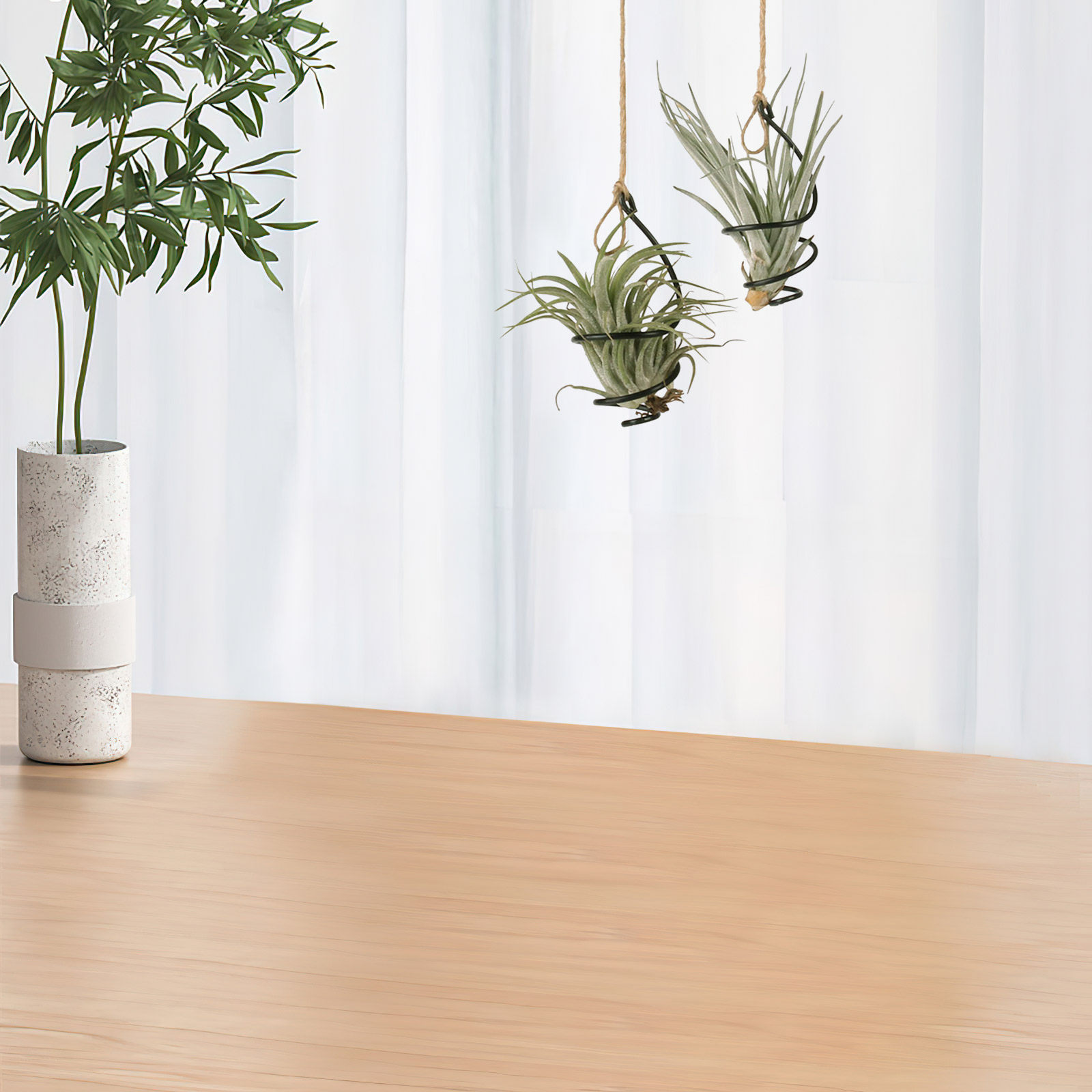 Air Plant Tillandsia - 12-częściowy zestaw spiralnych metalowych stojaków na