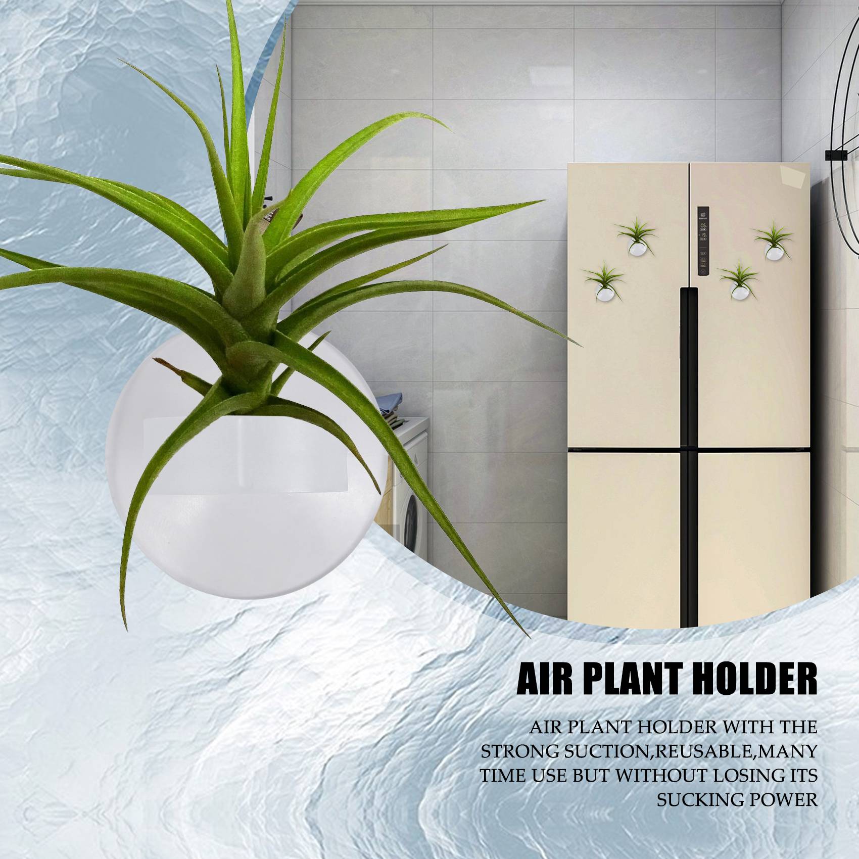 AC76-20 szt. Uchwyt na rośliny – Air Plant Tillandsia recenzja i cena