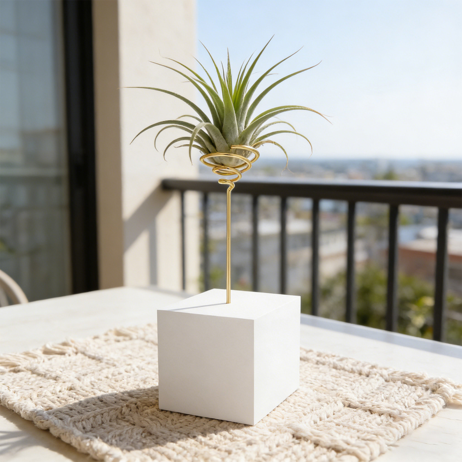 6 szt. metalowych stojaków na  – Air Plant Tillandsia recenzja i cena