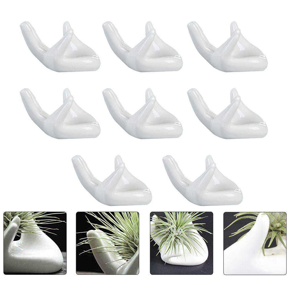 8 szt. ceramicznych podstawek  – Air Plant Tillandsia recenzja i cena