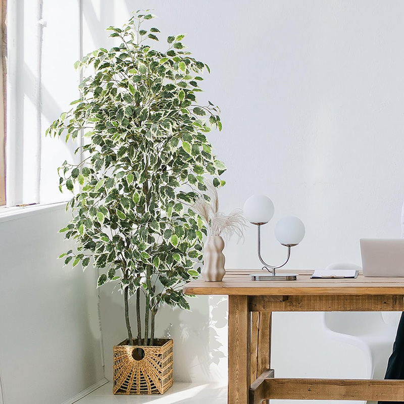 70in sztuczne drzewo figowe sz – Fiddle Leaf Fig recenzja i cena