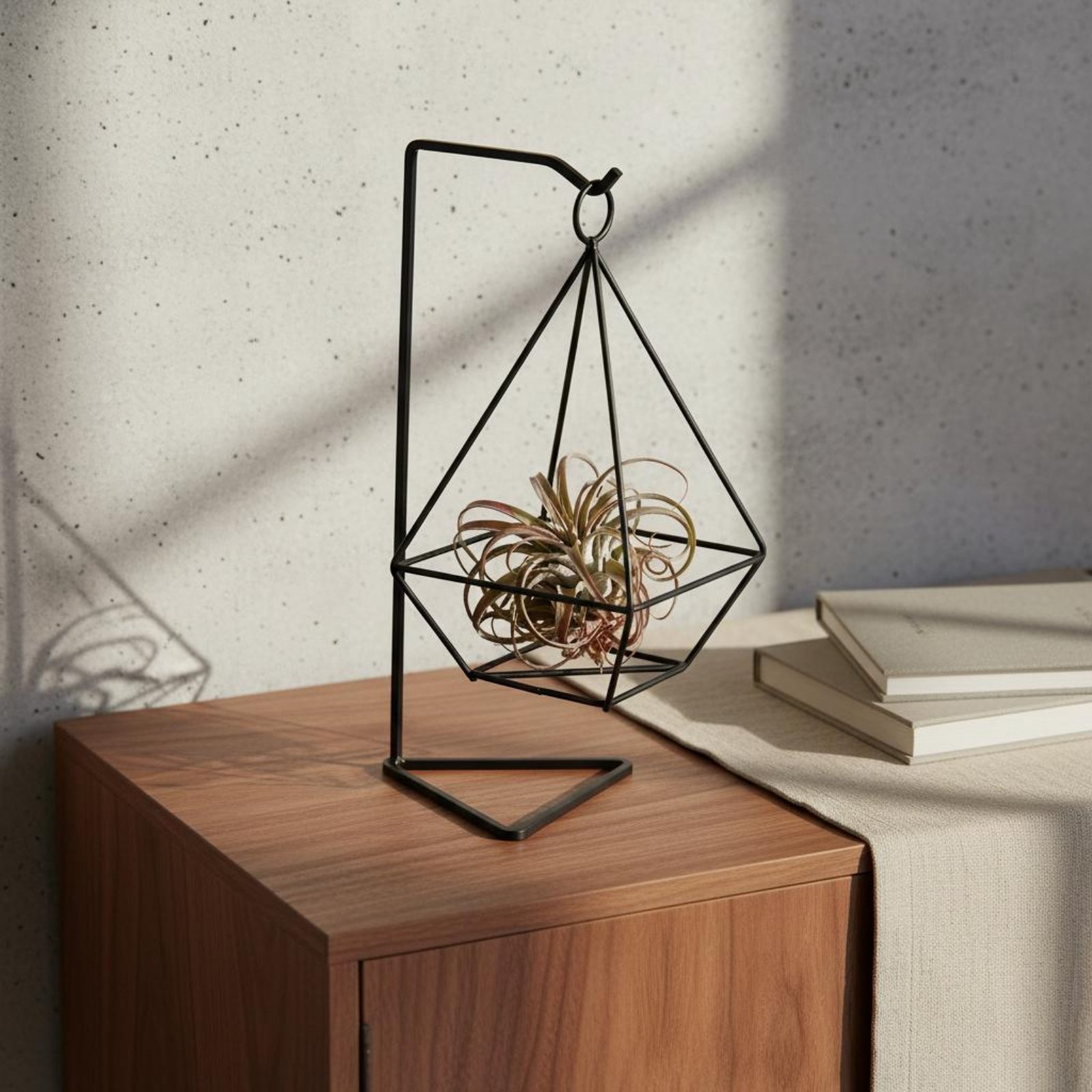 Geometryczny stojak na rośliny – Air Plant Tillandsia recenzja i cena