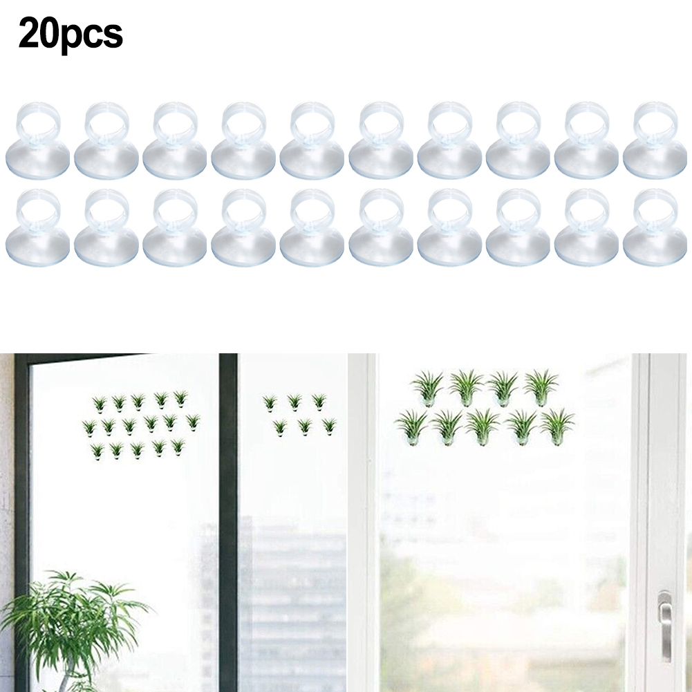 20 szt. Uchwytów do mocowania  – Air Plant Tillandsia recenzja i cena