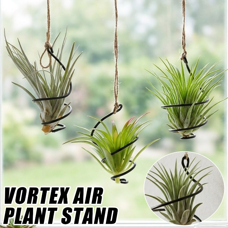 Uchwyty do roślin powietrznych – Air Plant Tillandsia recenzja i cena
