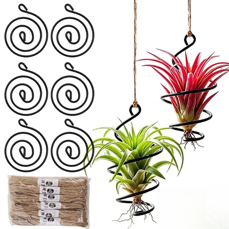 Uchwyty do roślin powietrznych – Air Plant Tillandsia recenzja i cena