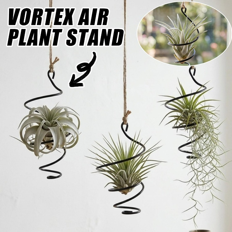 Uchwyty do roślin powietrznych – Air Plant Tillandsia recenzja i cena