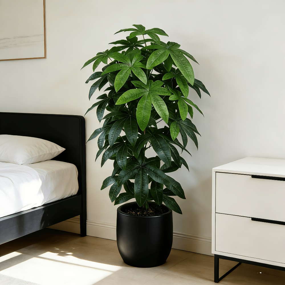 Sztuczna drzewka szczęścia Pac – Fiddle Leaf Fig recenzja i cena